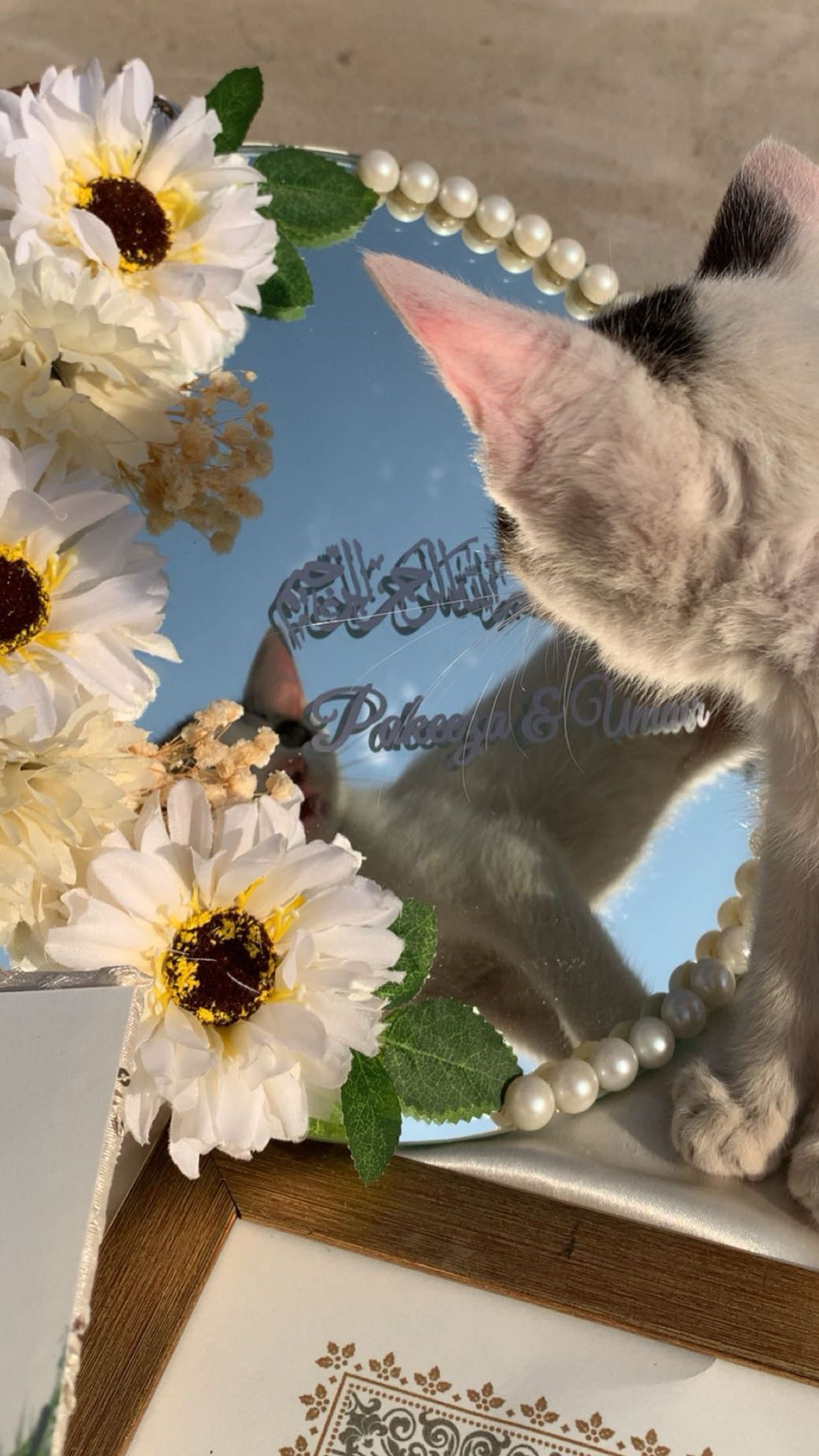 Pakeeza Nikkah mirror